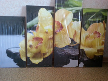 20140418_172505.jpg
