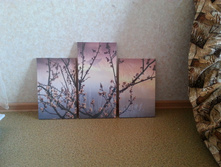 20140418_175709.jpg