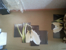 20140418_192032.jpg