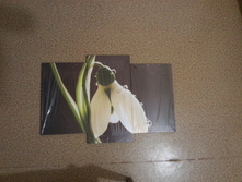 20140418_230601.jpg