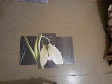 20140418_230607.jpg