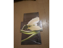 20140418_230615.jpg