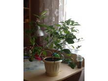 20.04.2014 11:08:57