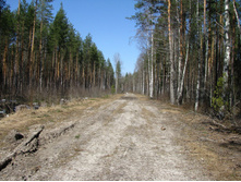 MG_6273.jpg