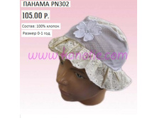 PN302.jpg