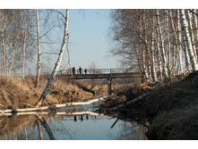 _A172416.jpg