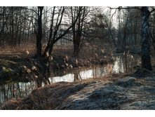 _A172430.jpg