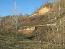 CIMG5089.JPG