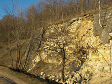 CIMG5094.JPG