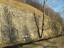 CIMG5095.JPG