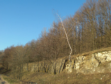 CIMG5097.JPG