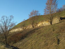 CIMG5101.JPG