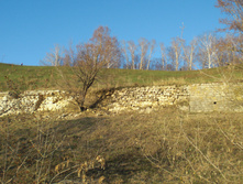 CIMG5102.JPG