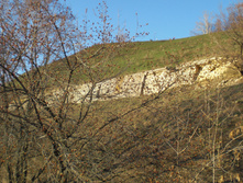 CIMG5103.JPG