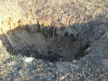 CIMG5104.JPG