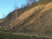 CIMG5107.JPG