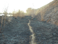 CIMG5118.JPG