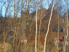CIMG5123.JPG