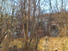 CIMG5124.JPG