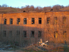 CIMG5143.JPG