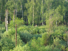 25.05.2010 19:55:52