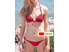 ���23142/2_70_85_858,00.jpg