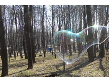 SAM_1869_1.jpg