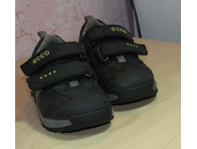 IMG_6243.JPG