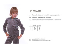 IFI653e010.jpg