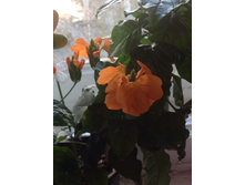 24.04.2014 20:58:48