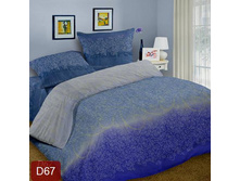 D67.JPG