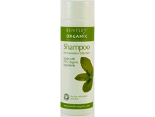 Bentley Organic ������� ������� ��� ���������� � ������ �����. ������ ������, ����� � ���� 250 �� 271 ���..jpg