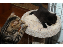 DSC_2172.JPG