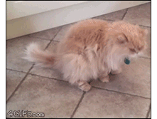 ��������� ... �� ����� ...