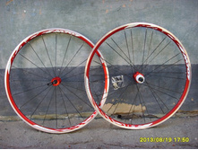 8645553.SSL22082.jpg