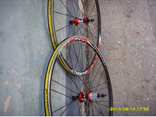 8645563.SSL22087.jpg