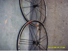 8645567.SSL22089.jpg