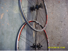 8645577.SSL22091.jpg