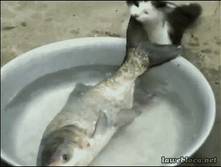 ������!