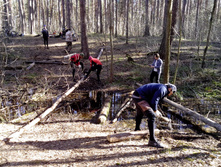 IMG_20140426_170211.jpg