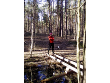 IMG_20140426_175408.jpg