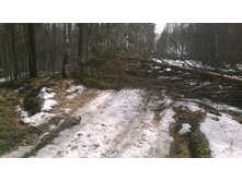 WP_20140401_001.jpg