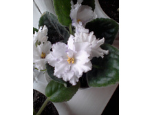 ����-0116.jpg