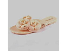PL7007 36,37,38,39 774 ���