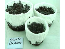 �������� �������� �� 3-� JH1--2077.jpg