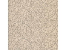 300219-2406.jpg
