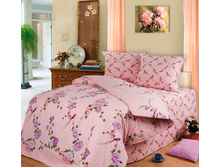 ������� ���