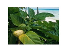 ���%20���%20����-145x145[1].jpg