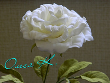 33d01d11.jpg