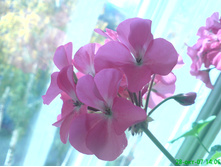 26.05.2010 4:06:01